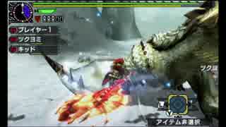 【MHXX】体験版ベリオロス　エリアルチャージアックス　04'07"96