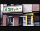 2016年02月17日 茅ヶ崎サザン通り・茅ヶ崎海岸・平塚八幡宮 周辺散歩 Part1