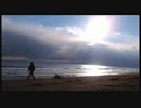 2016年02月17日 茅ヶ崎サザン通り・茅ヶ崎海岸・平塚八幡宮 周辺散歩 Part3