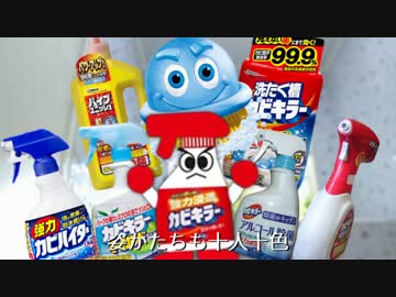 ようこそカビキパークへ