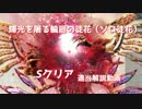 【PSO2】輝光を屠る輪廻の徒花：Sクリア字幕解説【BoHu編】