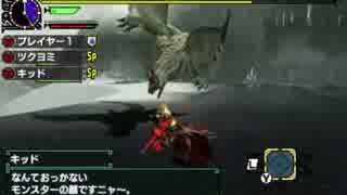 【MHXX体験版】ベリオロス エリアル双剣 4'24"25