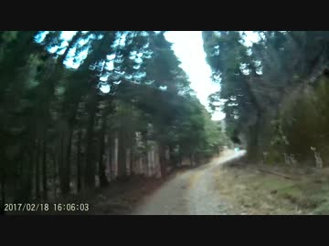 東京林道　深沢線