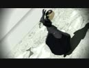 【Fate/MMD】邪ンヌでキライ・キライ・ジガヒダイ！