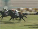 【競馬】2007.11.25 ドリームアビーム-2歳新馬