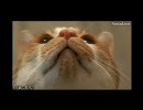 Doracast 2008-04-19 ハイライト ★★★