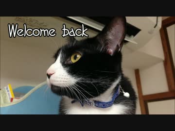 ジルと俺の釣り物語part.3 シーバス調査