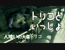 【実況】トリコといっしょ - 人喰いの大鷲トリコ Vol.12