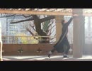 【みこいす】シャルル【踊ってみた】