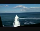 Zerotech DOBBY FLIGHT KOBOUCHI PARK & BEAUTIFUL OCEAN VIEW ♯13