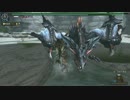 【MHF-Z】第109回韋駄天杯【裂水竜討伐Ｇ！】狩猟笛部門