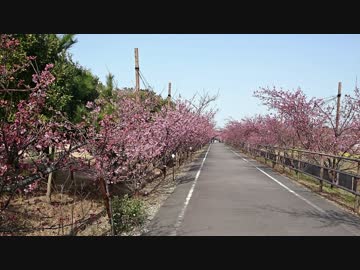 【そくドラ！外縁隊】 神様が往く！１７年２月その２【SSTR】