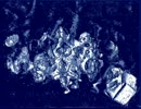 inst Pisces