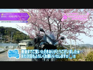Luxury Rider 051 Ninja650で行く 春が来た！河津桜と伊豆グルメツーリングPart.1