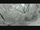 【絶景】雲仙普賢岳・登山編【樹氷】