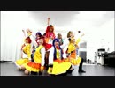 【踊ってみた】 SUNNY DAY SONG 【さにそん大作戦】