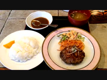 塩ハンバーグの塩ダレがジェルってた(パティオ風我)