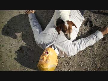 小型犬と過ごすトランプ大統領の休日～その３～ 妄想ドキュメンタリー