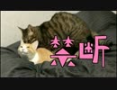 暗闇の中で行われる禁断の情事♂