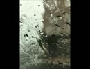 サザン【恋の女のストーリー】歌ってみた