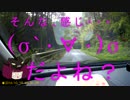 とある男の一人野営 《初めての一人野営編　第一話》