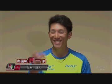 ＣＣＲ1４ー鯉一