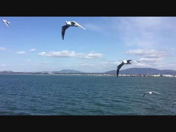 30すぎたおっさんのZX10Rどうがにっき　Part.64 前編