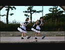 【反転／スロー65%】すーぱーぬこになりたい【ねこ玉】【オリジナル振付