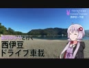 【86×結月ゆかり車載】ゆかりさんと行く西伊豆・中編