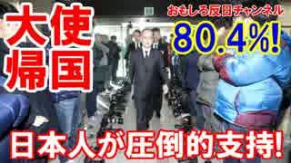 【在韓大使帰国に賛同】 支持する日本人が80.4%！イイねボタン連打！