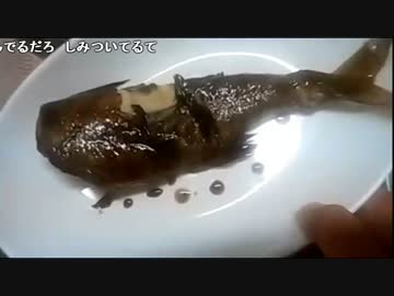 布団ちゃん『魚を煮付ける』2枠目【2017/02/21】