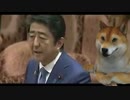 【森友学園問題】安倍晋三首相、国会で声を荒げて大激怒！