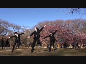 【社会人3人】朧を踊ってみた【リーマンブラザーズ】