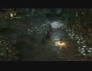 【Blood_borne】アイテム無限使用バグ?【最新ver】
