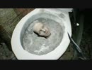 【全裸家族愛ホラー】怖くなりすぎたBIOHAZARD 7 実況プレイ 07【FeniX】