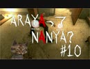 【ホラー実況】ARAYAってNANYA?#10【恐怖心が無能】