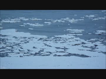 流氷観ませんか？　(っ´ω`c)ﾓｷｭ♡