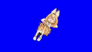 サーバル回転BB