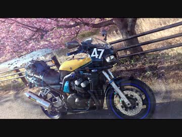 【FZ400】Various BLUE号で行く巡礼馳走 「河津桜アブReady?Go!」