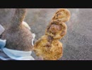 Littleライダース 「ぷらぷら鎌倉　食べ歩き」