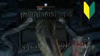 【ゲーム実況】完全初見のダークソウル３_45【イルシール地下牢攻略編】