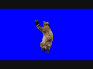 ドラゴン田中みたいなクマBB