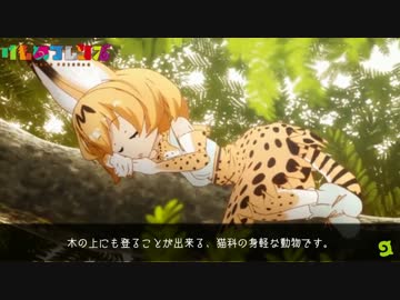 ジャパリプラネット大自然号かばんちゃんが来た！ジオグラフィック風味