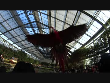 【ランチクルーズ・動物園】今の流行りに乗ってみた