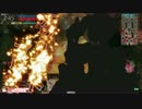 アラフォーだって入国したい！　～欄外内フレマ２・シュネー～