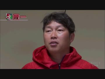 ＣＣＲ1６ー鯉一