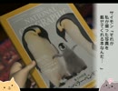【女2人実況】あの頃は若かった・・・【ぼくのなつやすみ２】part５