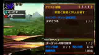 【MHX】柔能く剛能く狩人を制す 猫猫ペア 2'57''13 【獰猛タマミツネ】