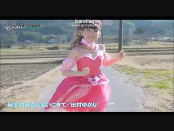 ホモと見る 田 村 ゆ か り 41才.yukaritamura