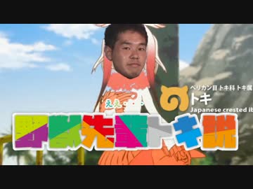 野獣先輩 ニコニ コモンズ
